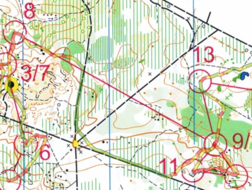 Carte IOF Roche Turpin — interposte 8 → 9